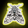 Giant Leopard Moth Hypercompe Scribonia RGB Neon Sign - Image 5