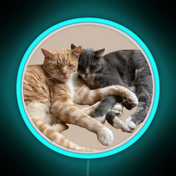 Ginger And Grey Cute Cuddling Cats RGB Neon Sign