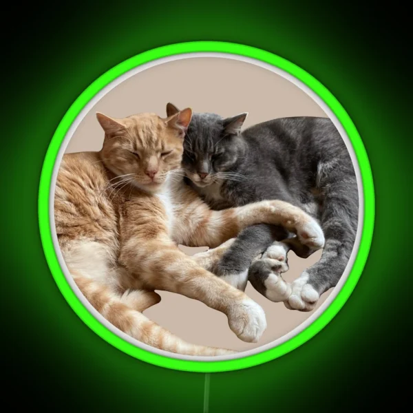 Ginger And Grey Cute Cuddling Cats RGB Neon Sign