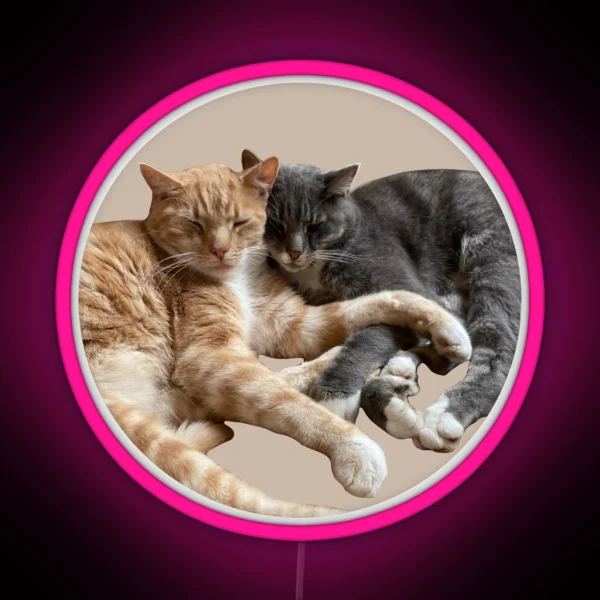 Ginger And Grey Cute Cuddling Cats RGB Neon Sign