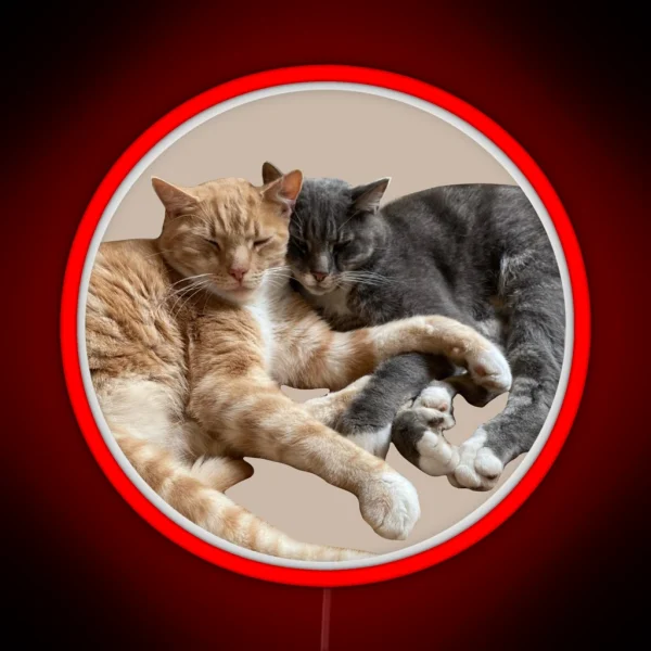 Ginger And Grey Cute Cuddling Cats RGB Neon Sign