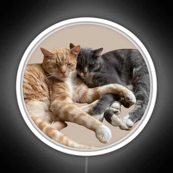 Ginger And Grey Cute Cuddling Cats RGB Neon Sign