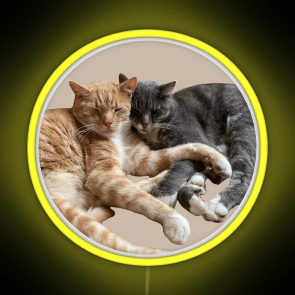 Ginger And Grey Cute Cuddling Cats RGB Neon Sign