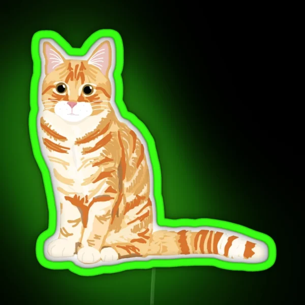 Ginger Tabby Cat RGB Neon Sign
