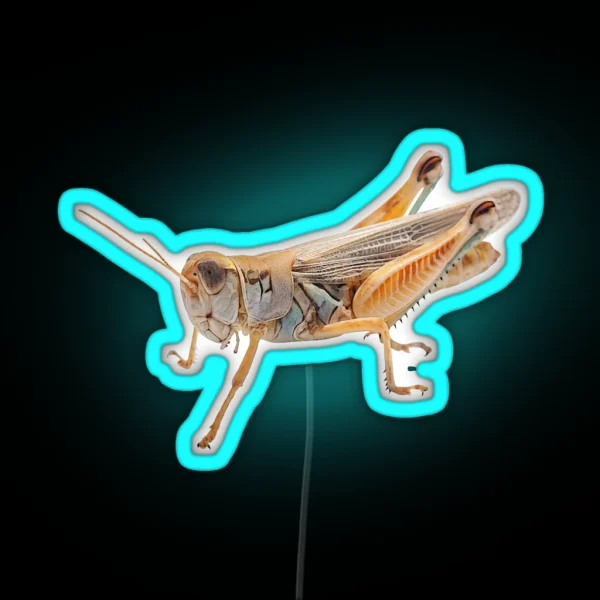 Grasshopper 2 RGB Neon Sign