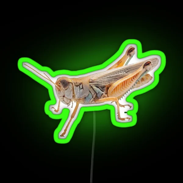 Grasshopper 2 RGB Neon Sign