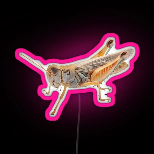 Grasshopper 2 RGB Neon Sign