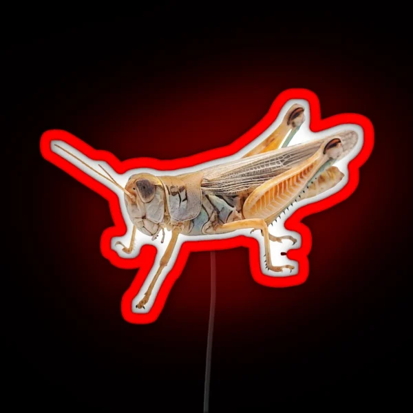 Grasshopper 2 RGB Neon Sign