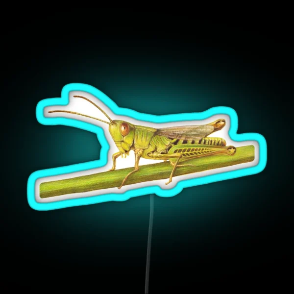 Grasshopper RGB Neon Sign