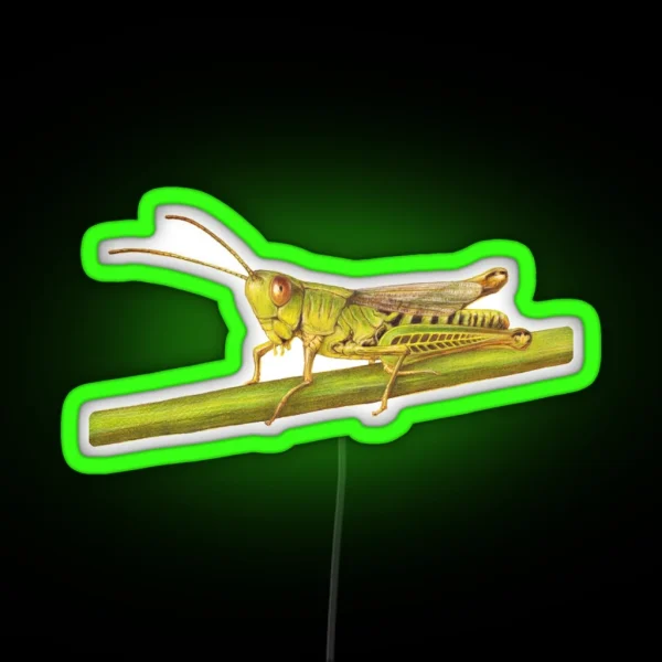 Grasshopper RGB Neon Sign