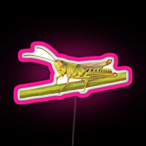 Grasshopper RGB Neon Sign