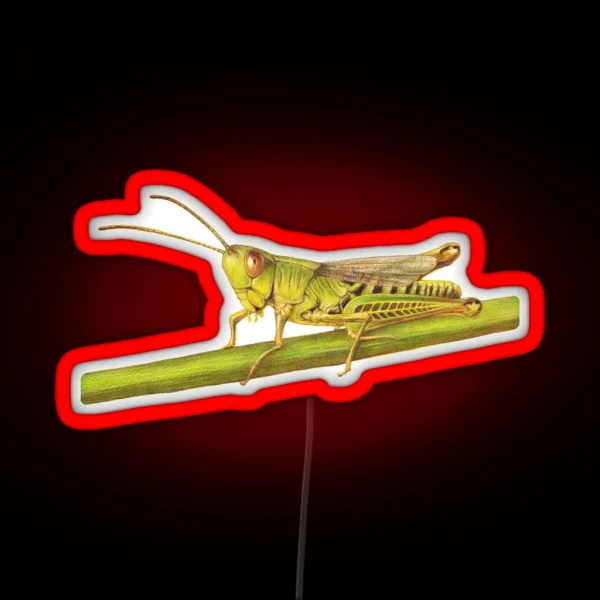 Grasshopper RGB Neon Sign