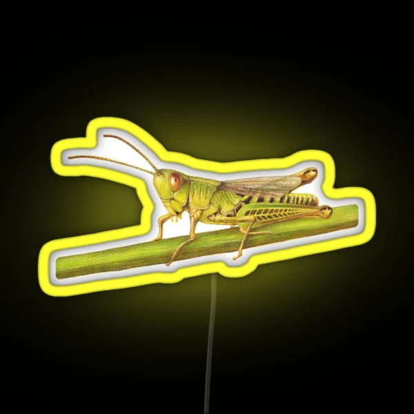 Grasshopper RGB Neon Sign