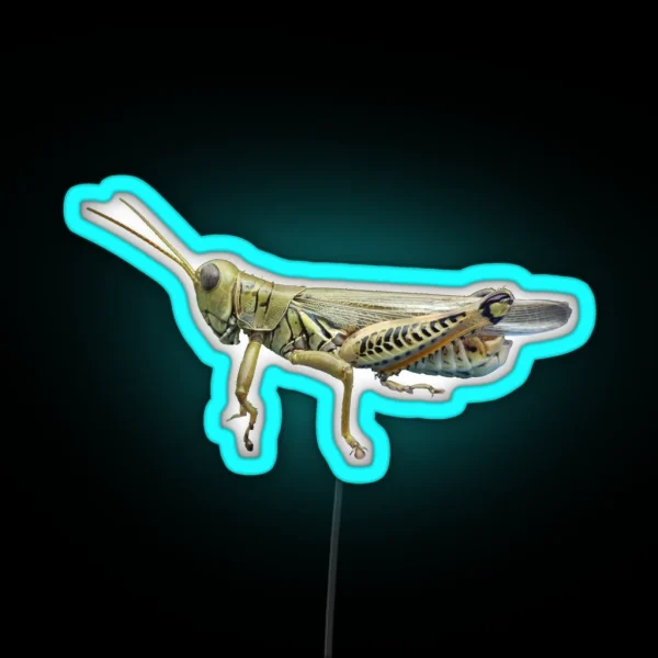 Grasshopper RGB Neon Sign