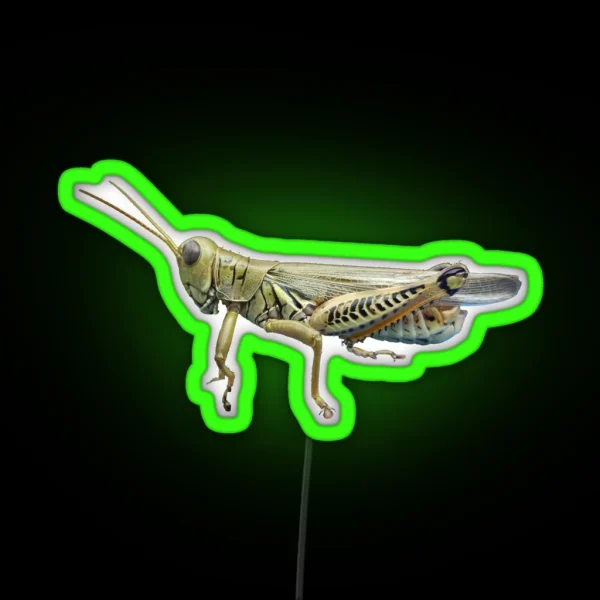 Grasshopper RGB Neon Sign