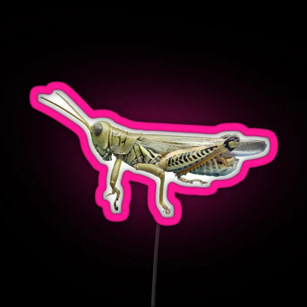 Grasshopper RGB Neon Sign