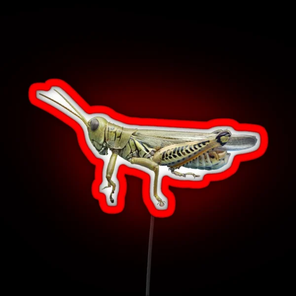 Grasshopper RGB Neon Sign