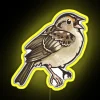 Grasshopper Sparrow RGB Neon Sign - Image 5
