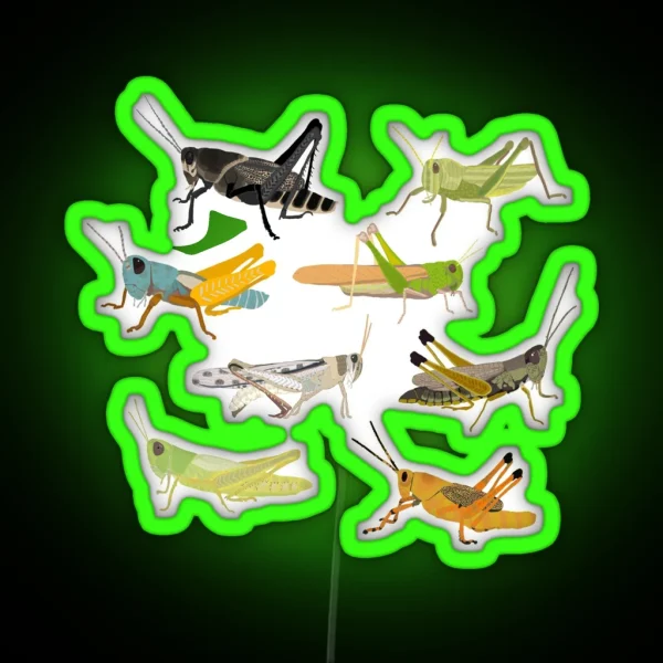 Grasshoppers RGB Neon Sign