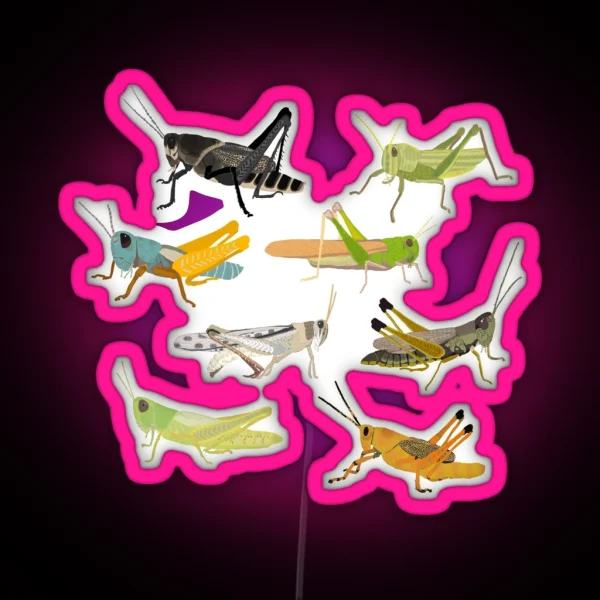 Grasshoppers RGB Neon Sign