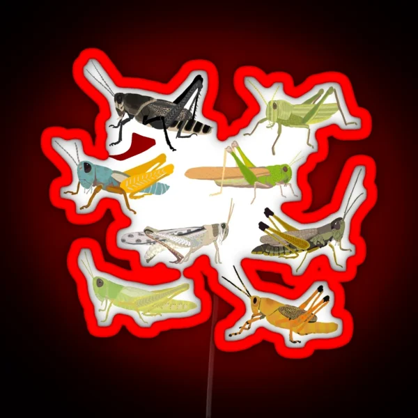 Grasshoppers RGB Neon Sign