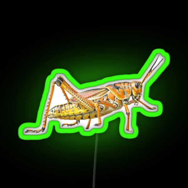 Great Grasshopper RGB Neon Sign