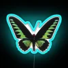 Green Butterfly RGB Neon Sign - Image 2