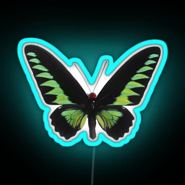 Green Butterfly RGB Neon Sign