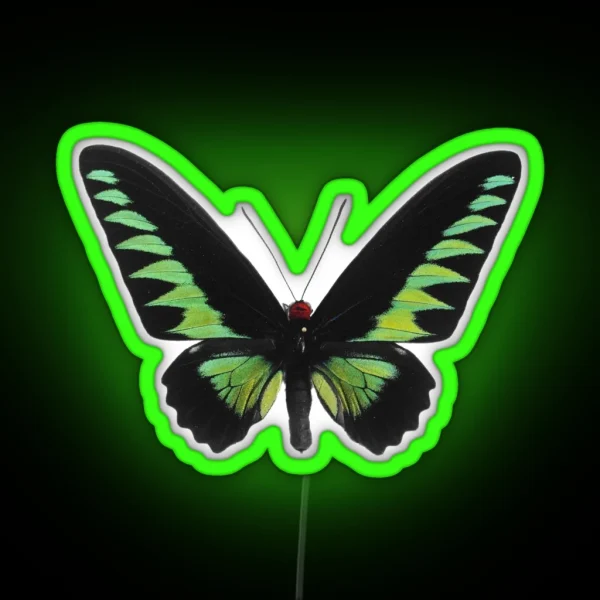 Green Butterfly RGB Neon Sign