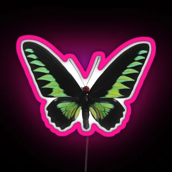 Green Butterfly RGB Neon Sign