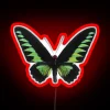 Green Butterfly RGB Neon Sign