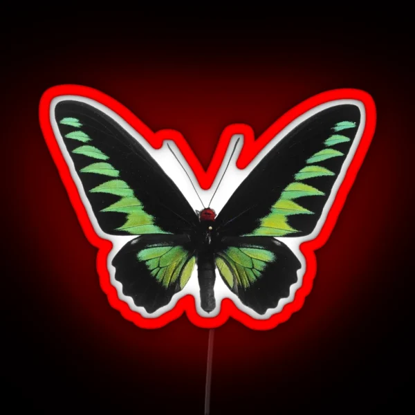 Green Butterfly RGB Neon Sign