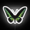 Green Butterfly RGB Neon Sign - Image 4