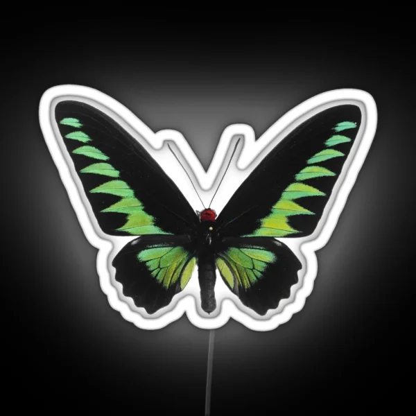 Green Butterfly RGB Neon Sign