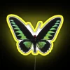 Green Butterfly RGB Neon Sign - Image 5