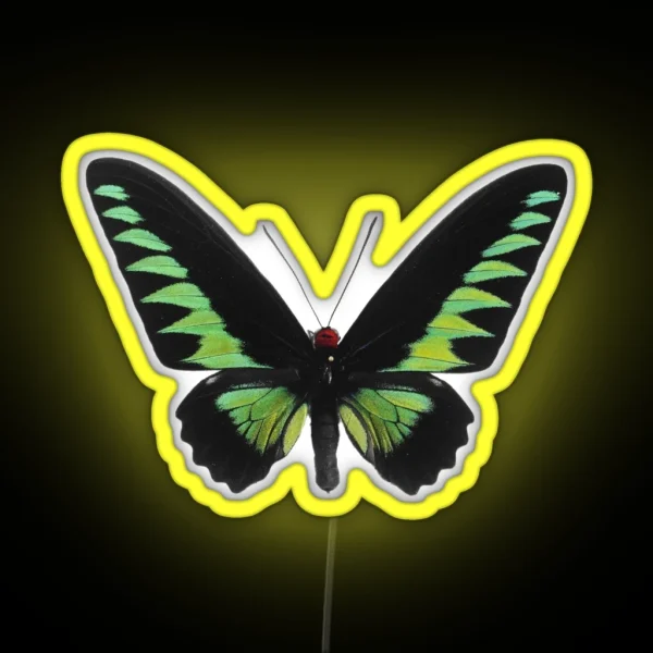 Green Butterfly RGB Neon Sign