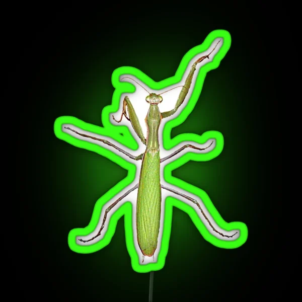 Green Mantises Praying Mantis RGB Neon Sign