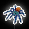Greenbottle Blue Tarantula With Khaki Outline RGB Neon Sign