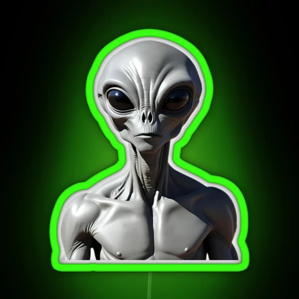 Grey Alien Encounter RGB Neon Sign
