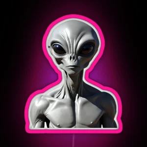 Grey Alien Encounter RGB Neon Sign