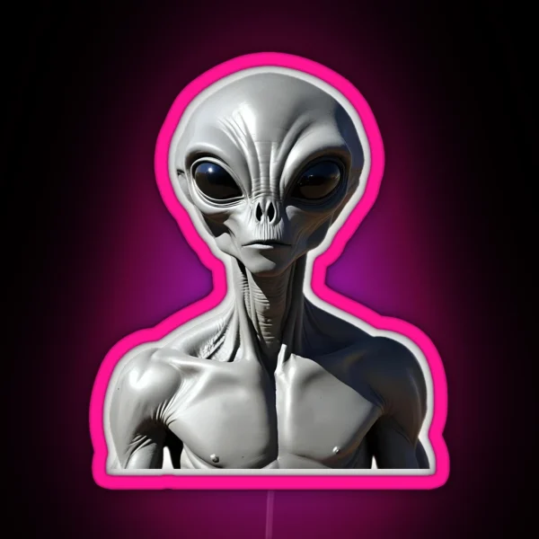 Grey Alien Encounter RGB Neon Sign