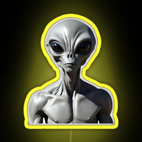 Grey Alien Encounter RGB Neon Sign