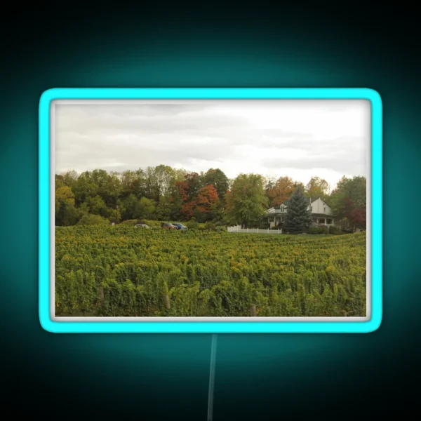 H0100 Featherstone Winery RGB Neon Sign