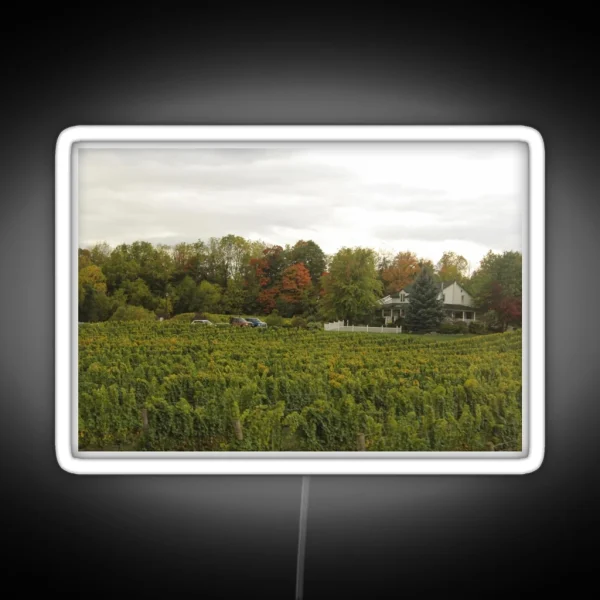 H0100 Featherstone Winery RGB Neon Sign