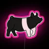 Hampshire Show Pig RGB Neon Sign - Image 6