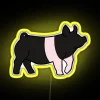Hampshire Show Pig RGB Neon Sign - Image 5