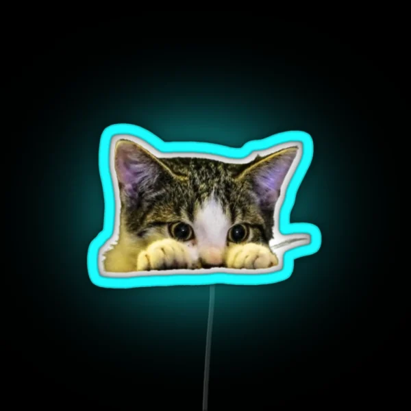 Hiding Cat RGB Neon Sign