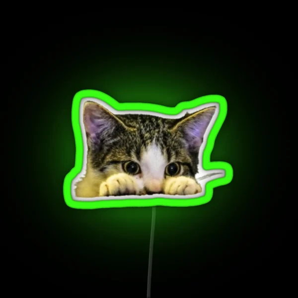Hiding Cat RGB Neon Sign