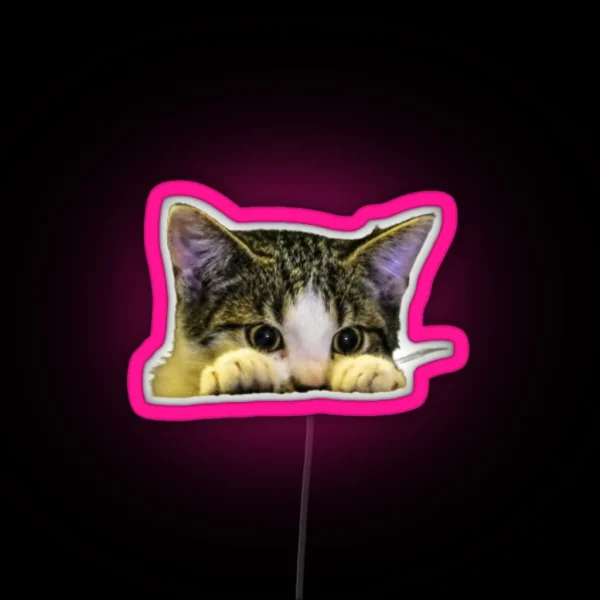 Hiding Cat RGB Neon Sign
