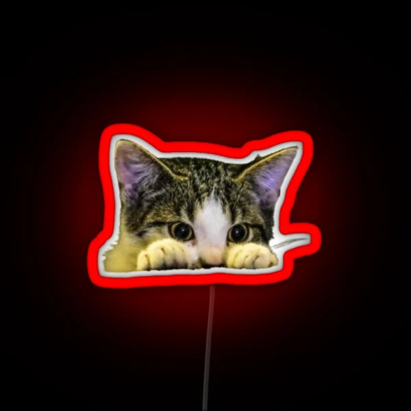 Hiding Cat RGB Neon Sign